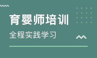 上海家政 家政公司 三林负责任的家政公司
